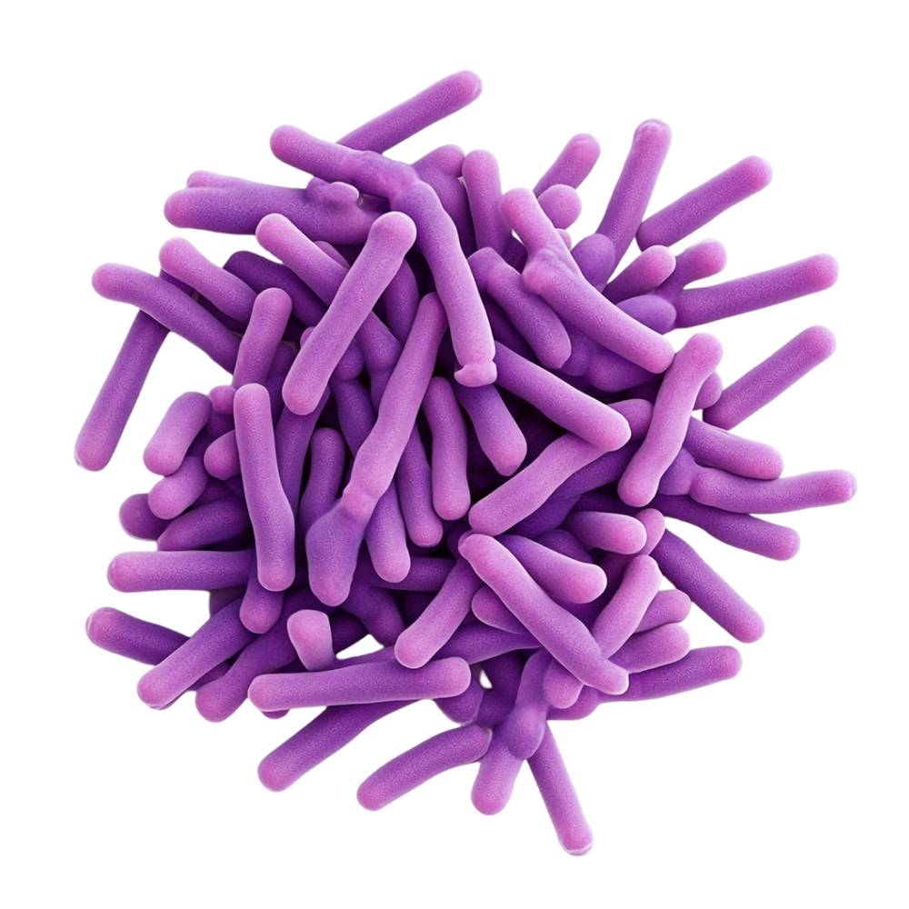 Смес от микробиологични култури