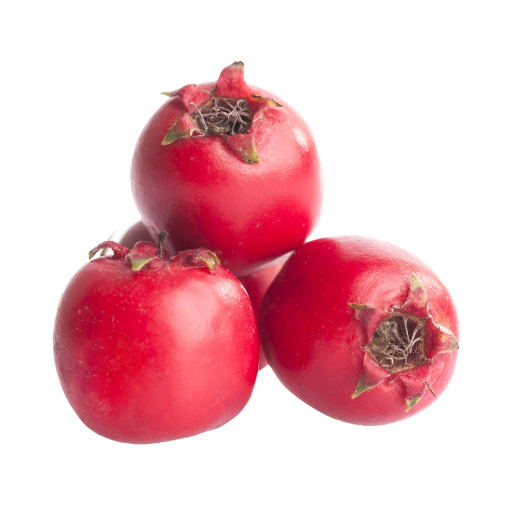 Екстракт от глог