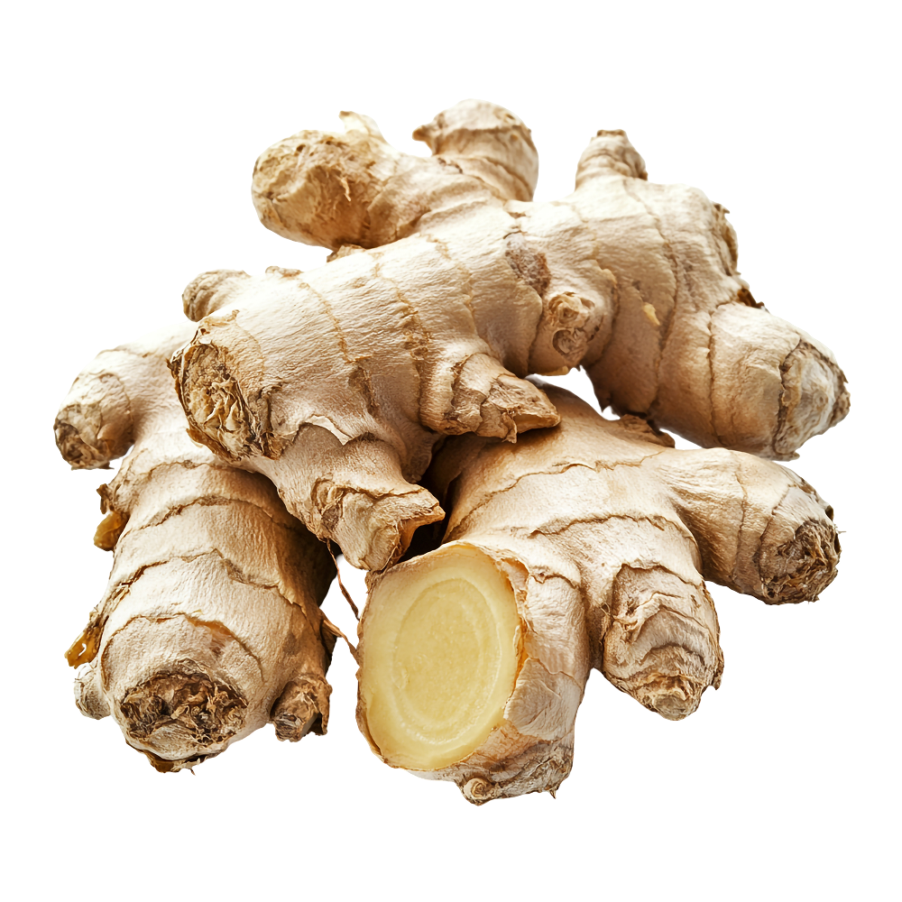 Джинджифил